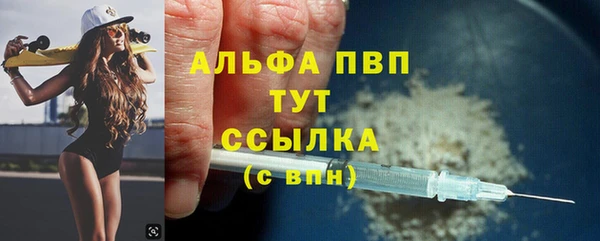 прущие грибы Аркадак
