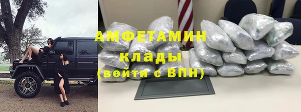 прущие грибы Аркадак