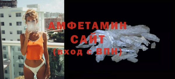 прущие грибы Аркадак