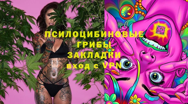 мяу мяу мука Армянск