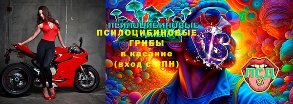 мяу мяу мука Армянск