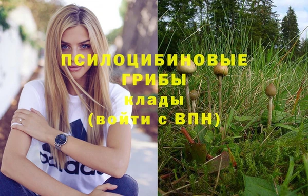 мяу мяу мука Армянск